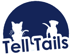 Pet grooming salon in Wacton| Tell Tails offers cat grooming